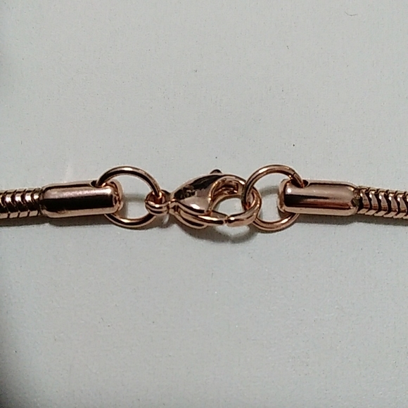 RG Snake Chain - Picture 3 of 4